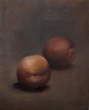 22 X 27